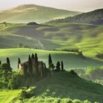 Preserve our olive oil’s rich taste and aroma for longer